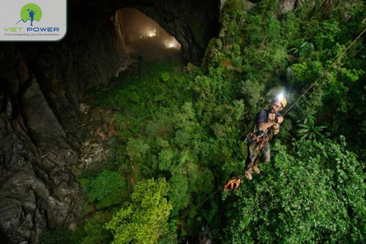 The Initial Discovery in 1991