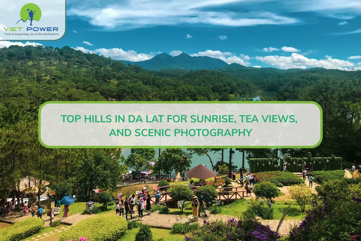 Top Hills in Da Lat for Sunrise, Tea Views, and Scenic Photography