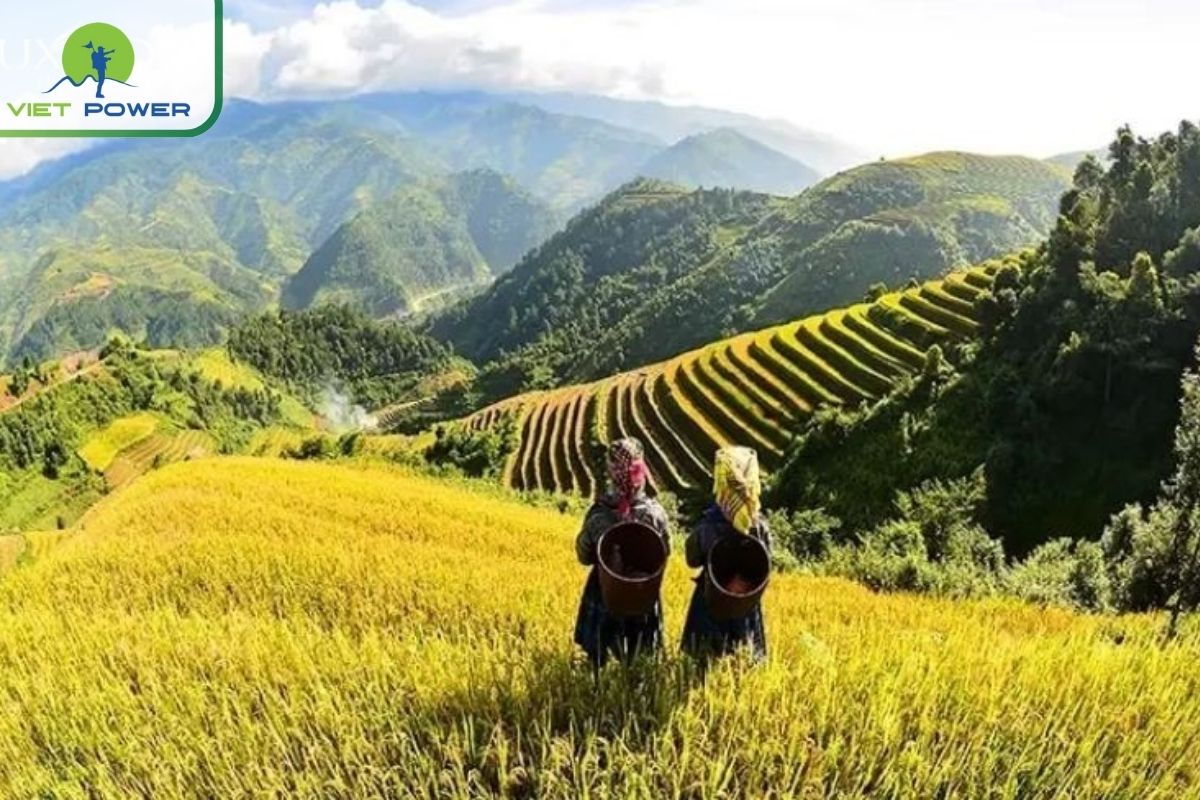 What to Pack for Your Rice Field Adventure