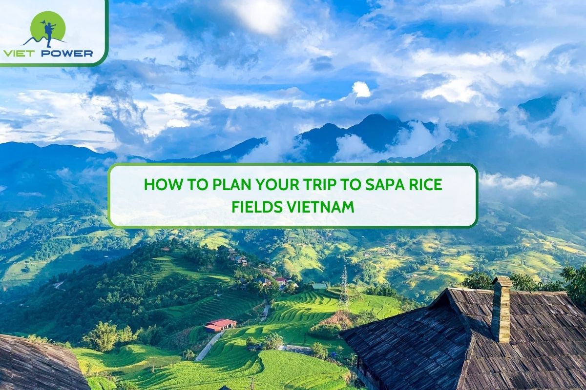 How to Plan Your Trip to Sapa Rice Fields Vietnam