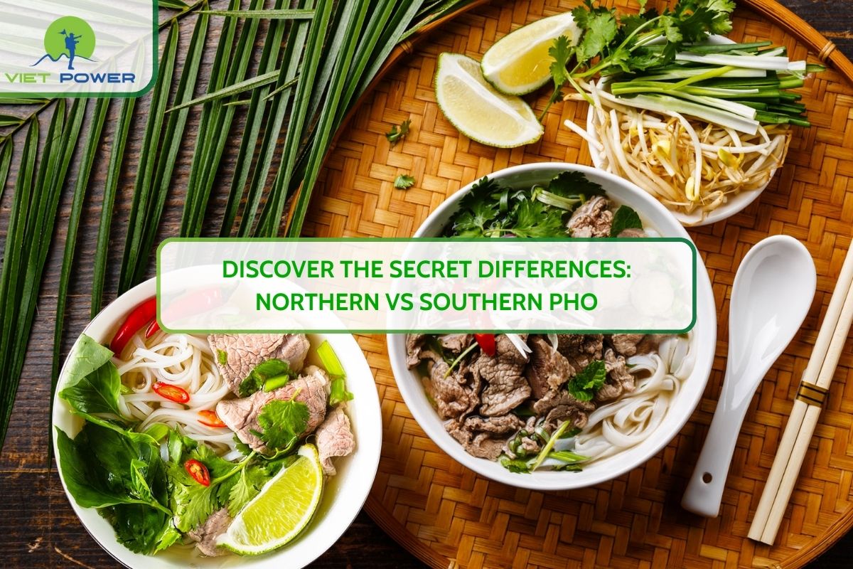 Discover the Secret Differences: Northern vs Southern Pho