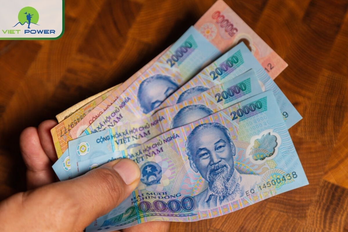 Markets & Public Services