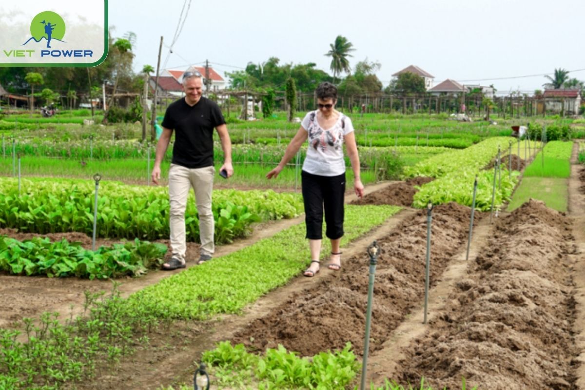 Your Vietnam 10 Day Travel Itinerary 2025