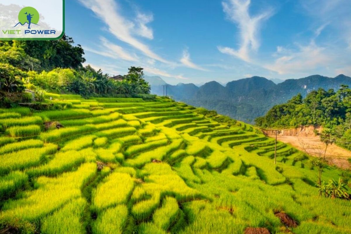 November–March: Floral Season – Tranquil Villages and Blossom Trails