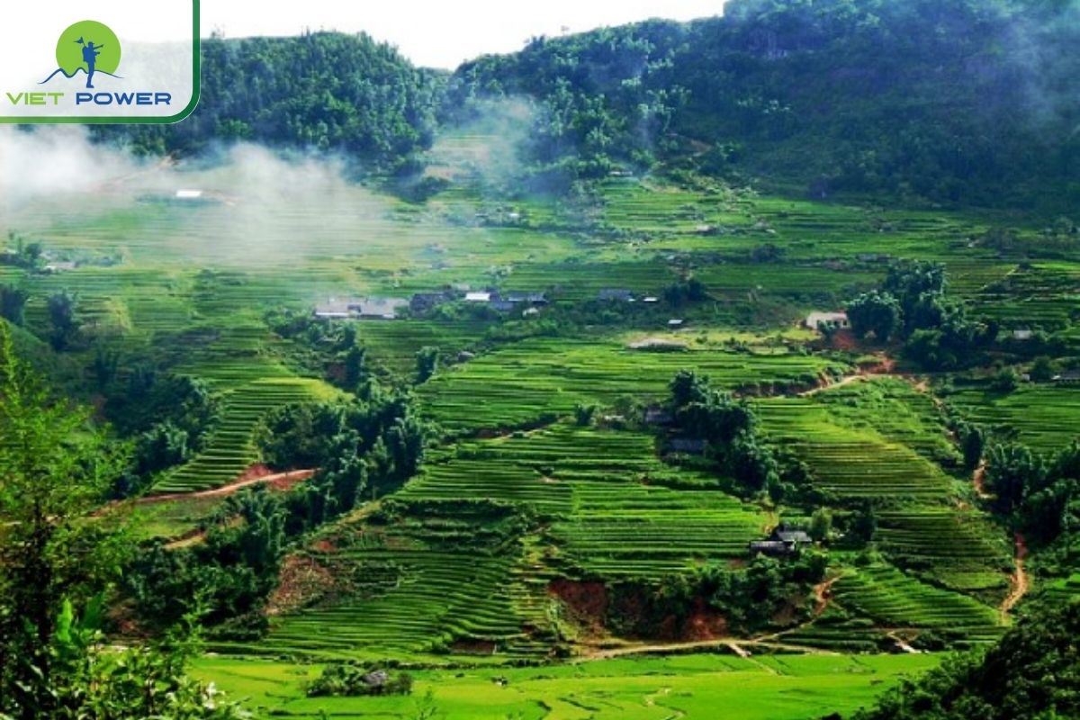 Support Local, Sustain the Landscape