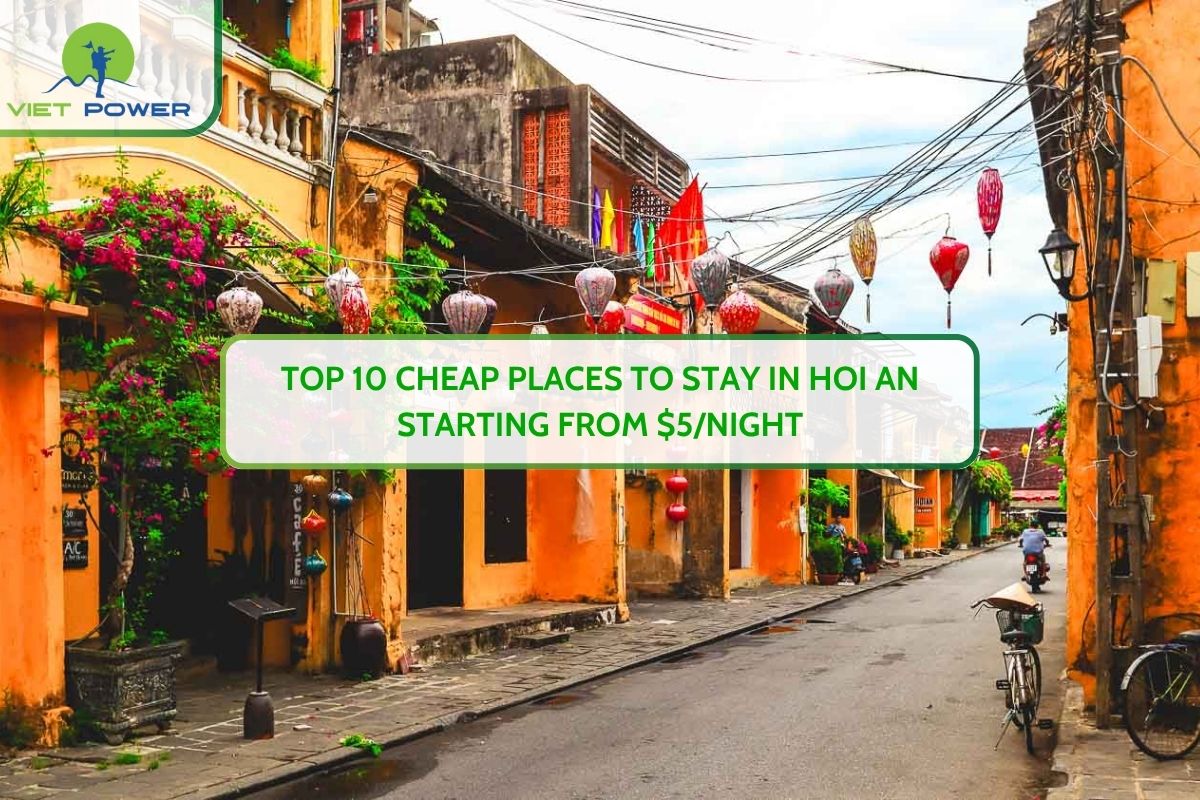 Top 10 Cheap Places to Stay in Hoi An Starting from $5/Night