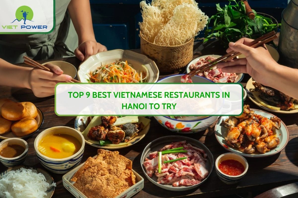 Top 9 Best Vietnamese Restaurants in Hanoi to Try