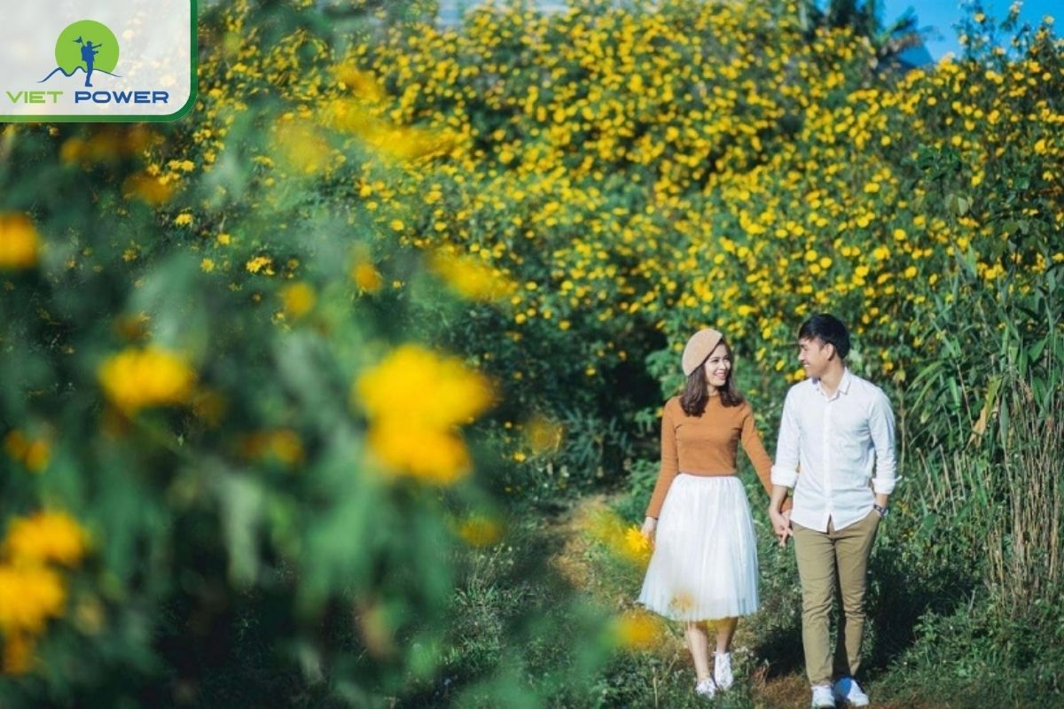 Best Places to Visit in Vietnam in November