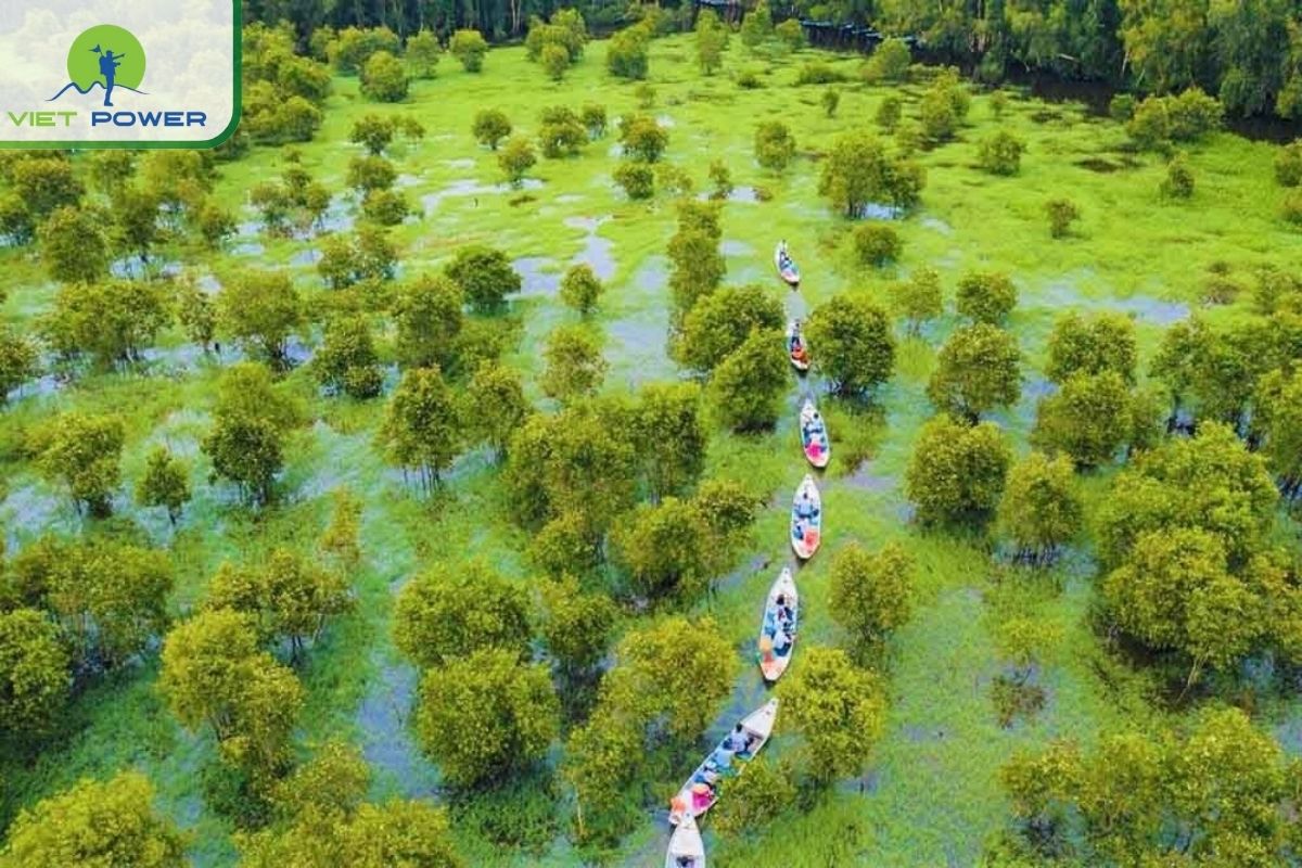 Tra Su Cajuput Forest in An Giang is accessible and rich in birdlife