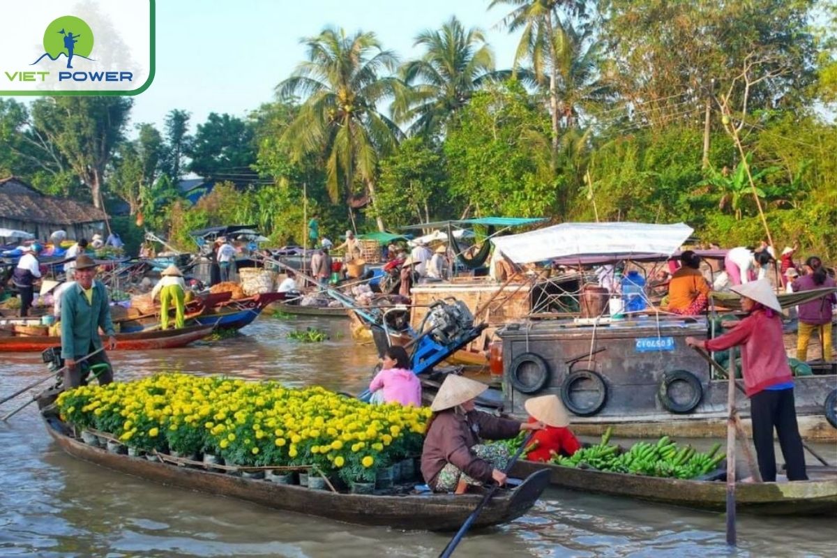 Early visits to floating markets (Cai Rang, Phong Dien)