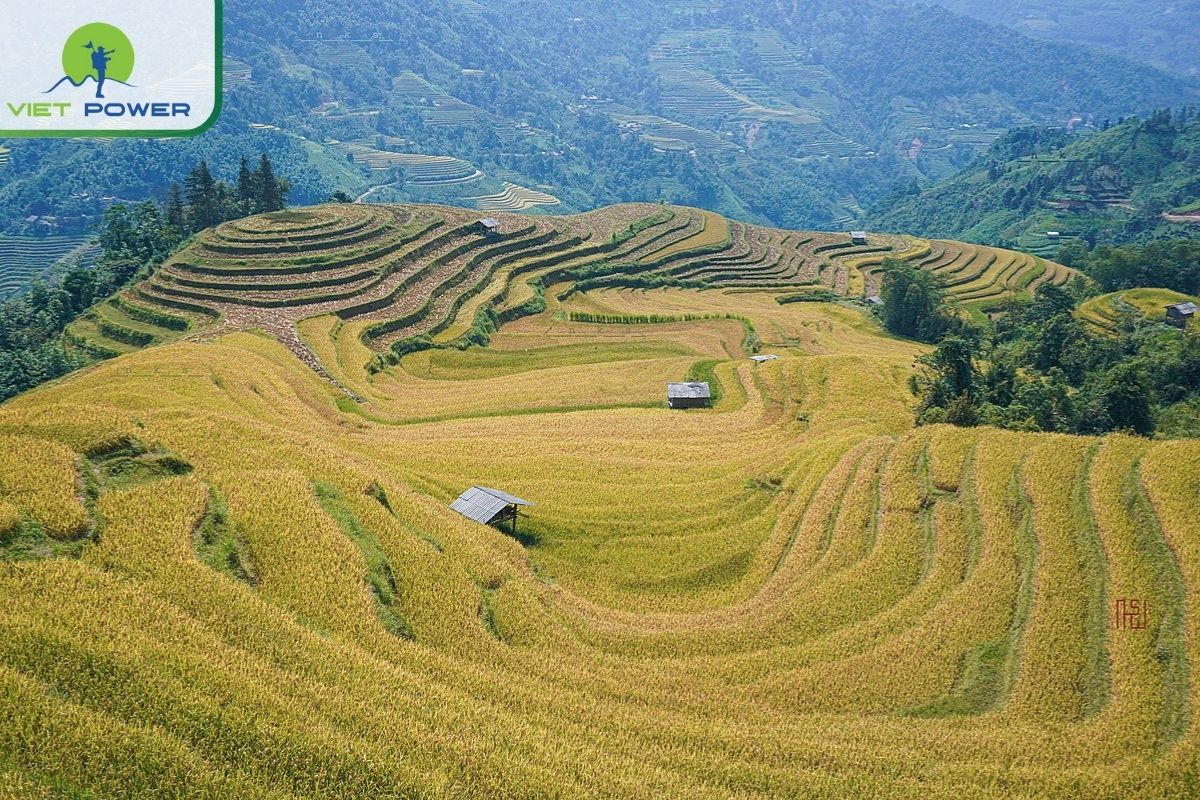 Summer (June – August): Green, Wet, and Wild