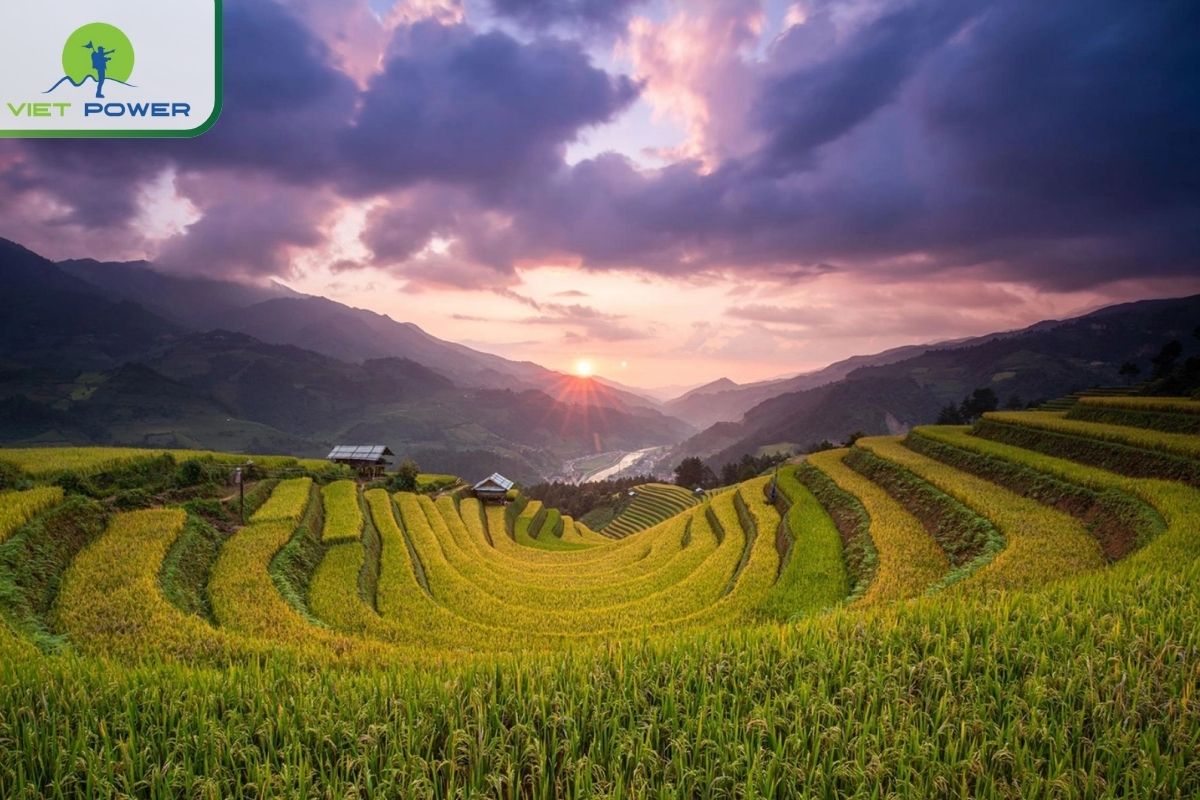 Terraced Fields of Mu Cang Chai and Sapa