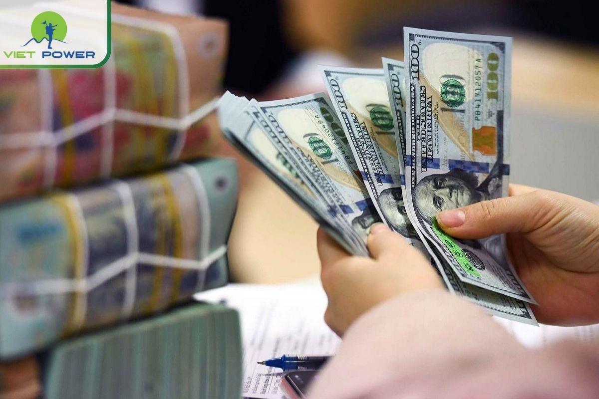 Overview of Vietnam’s Currency (VND) and Exchange Basics