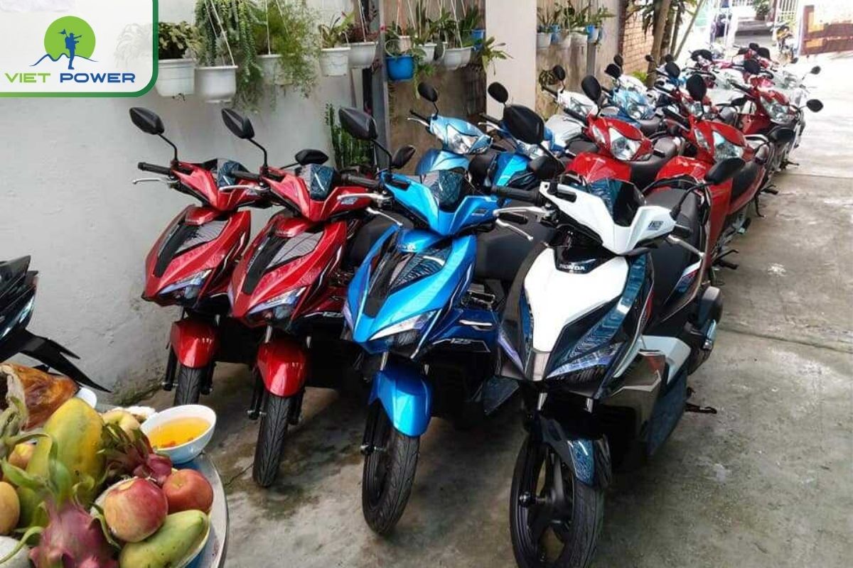 Motorbike Rentals