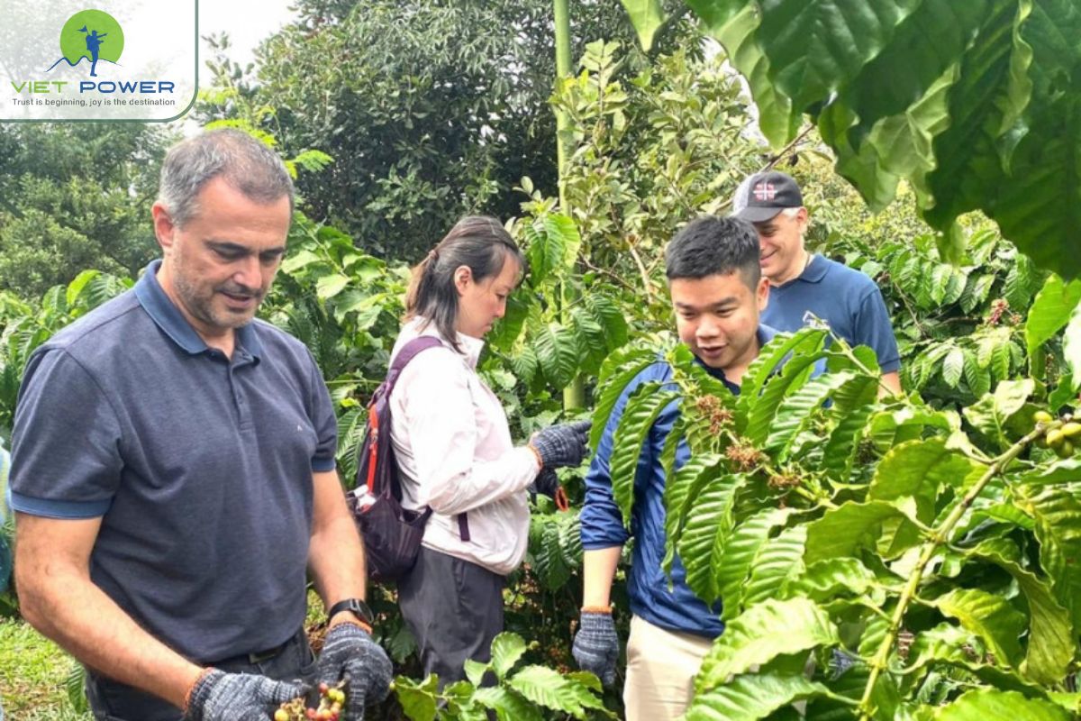 Travel experience and atmosphere