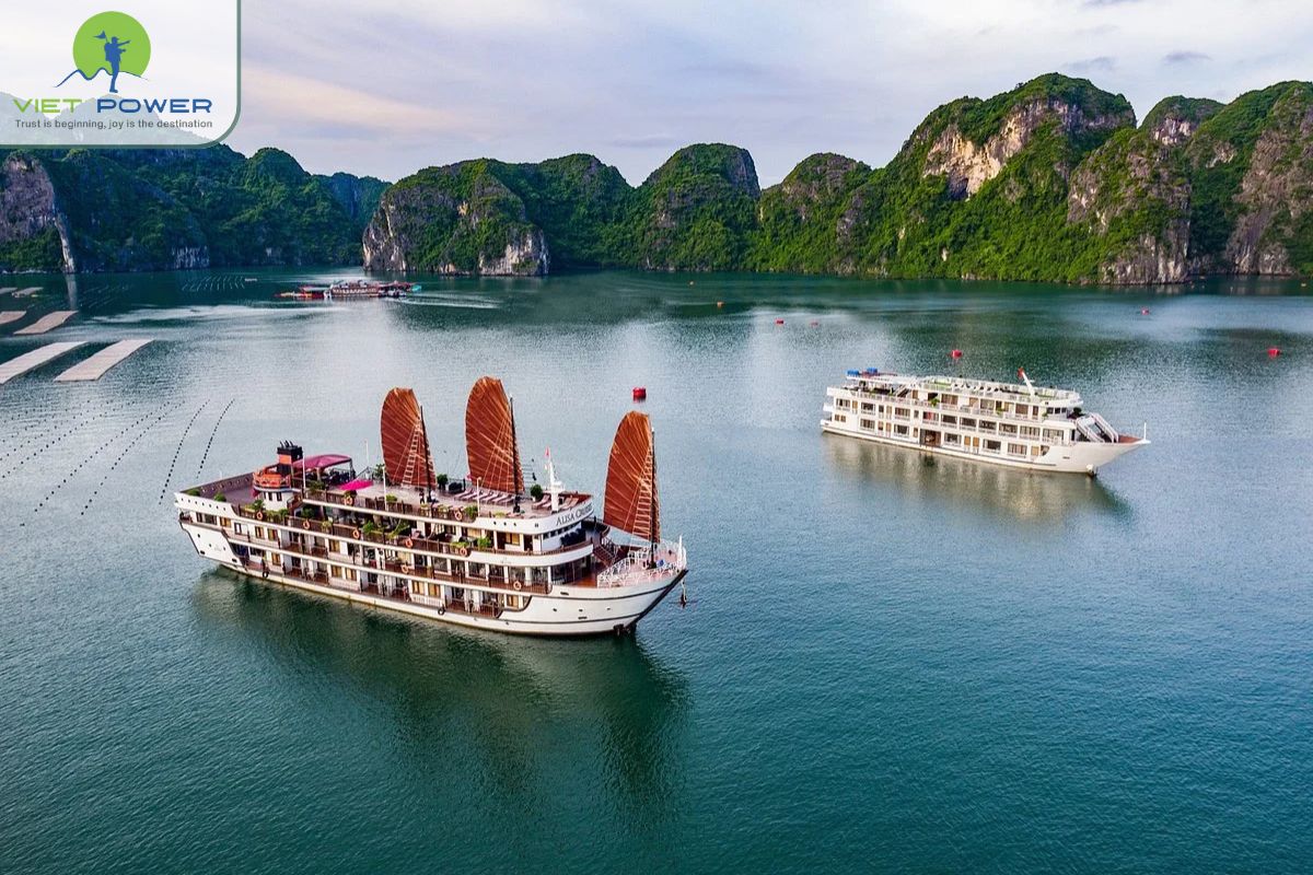 Travel tips in Ha Long (6)