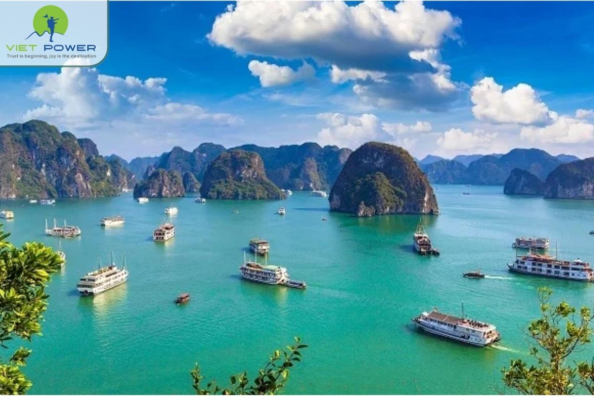 UNESCO-Heritage-in-Vietnam (3)