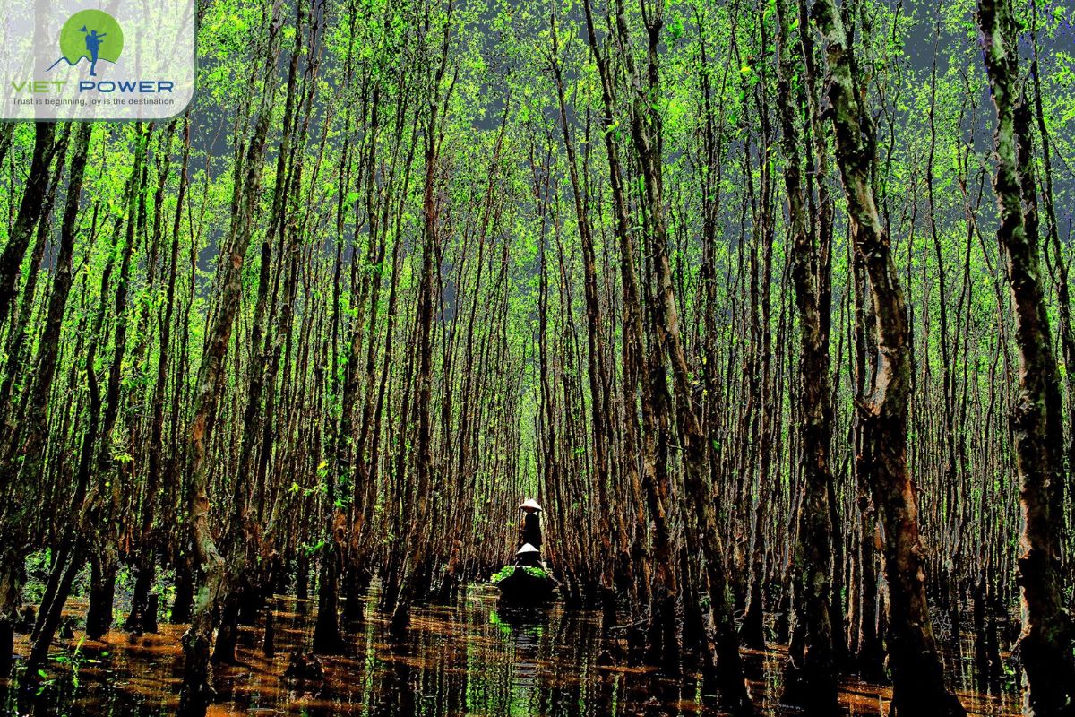 Unique brackish water ecosystem