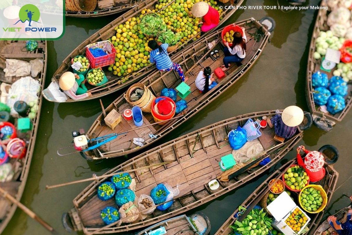 Top 10 Vietnam Countryside Destinations Must Visit 2024: Can Tho.