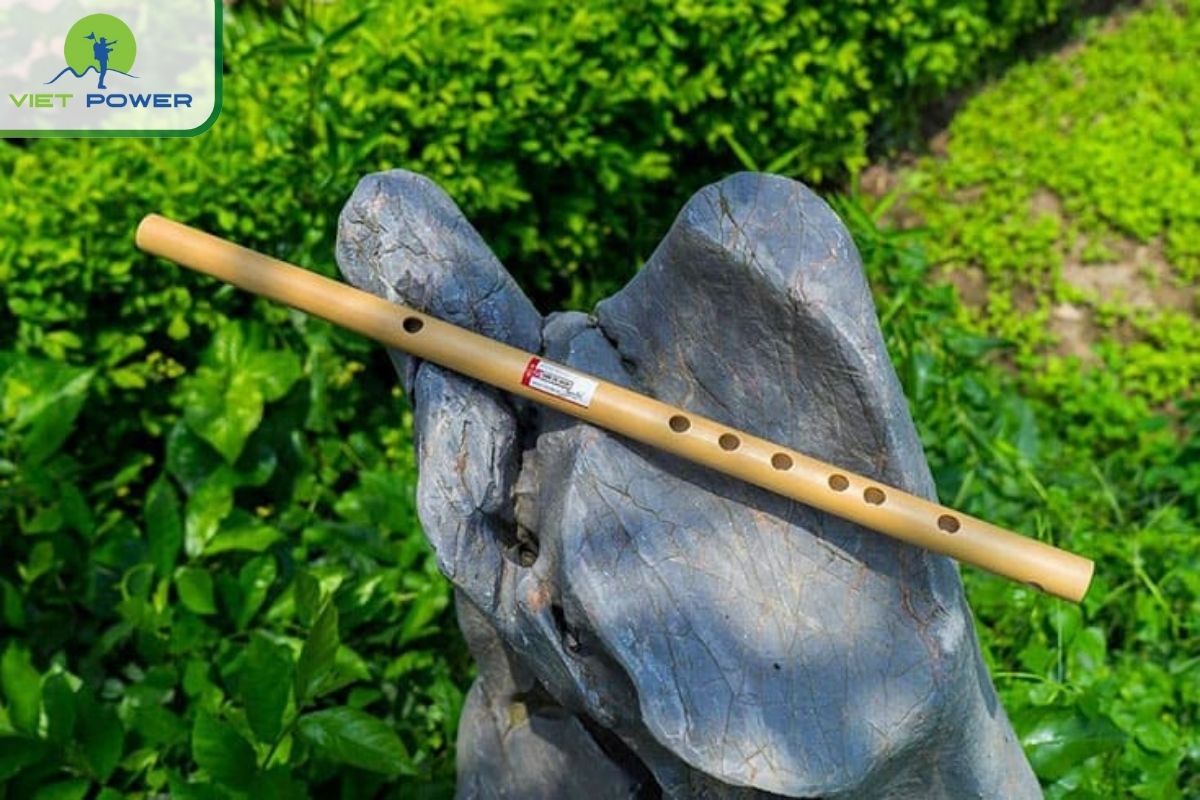 Other Vietnamese instruments.