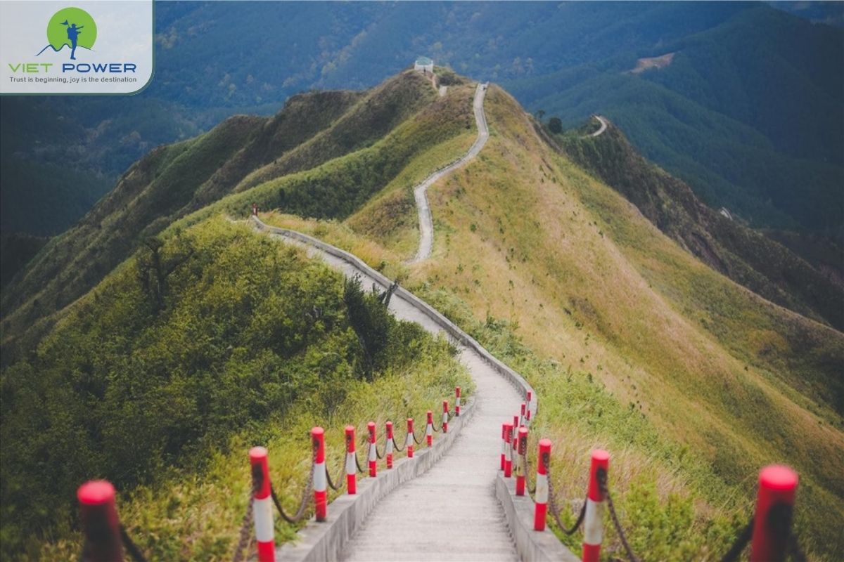 Waterfalls and Forest Trails