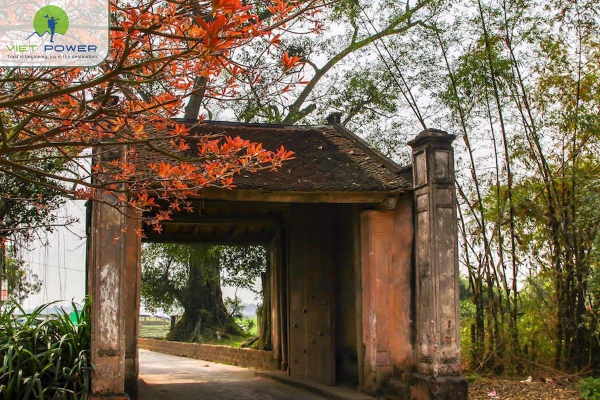 What Makes Duong Lam Special (9)