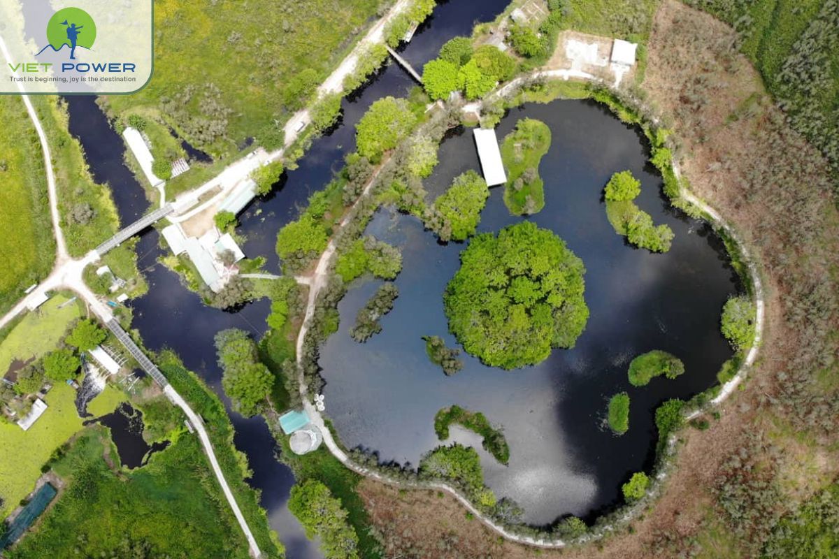 What is a peat swamp