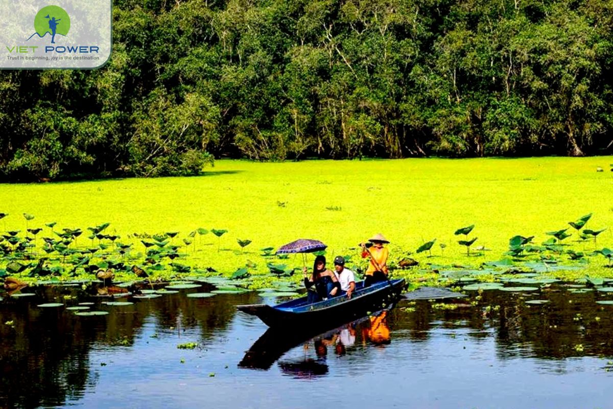 What is the best time to Visit Tra Su Cajuput Forest