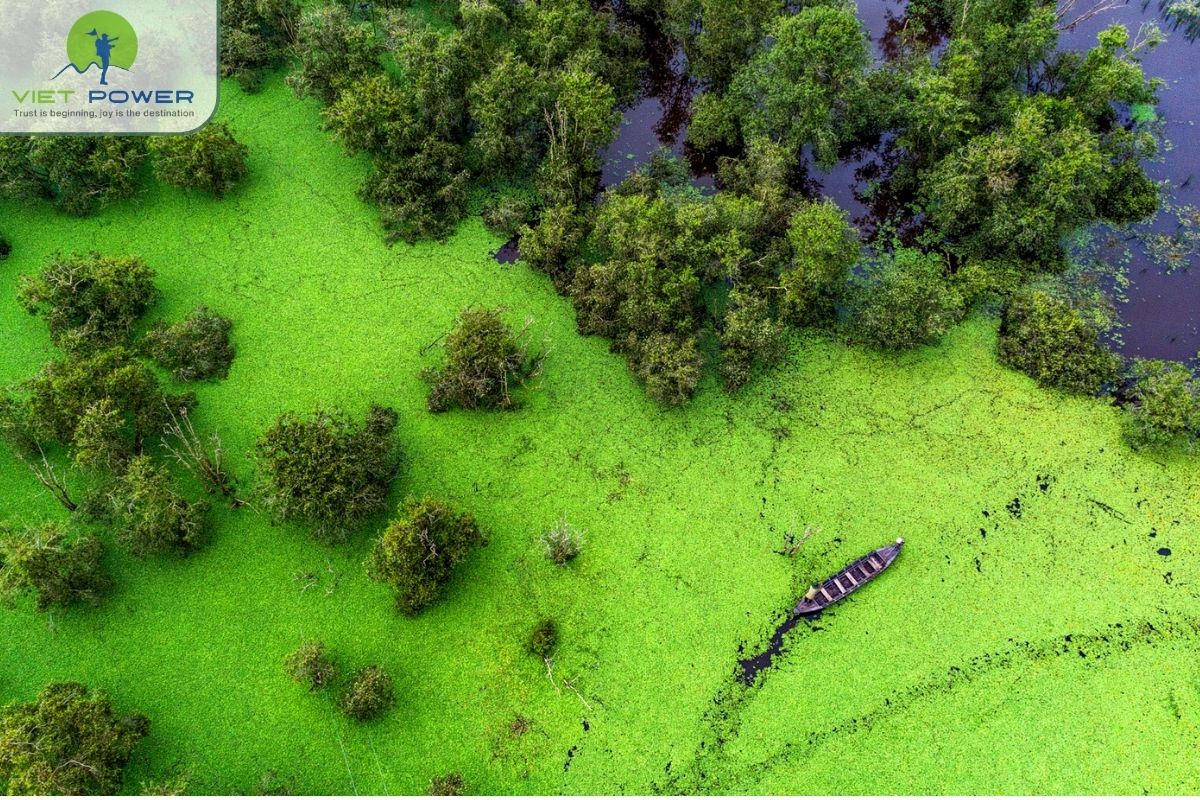 What makes Tram Chim National Park special