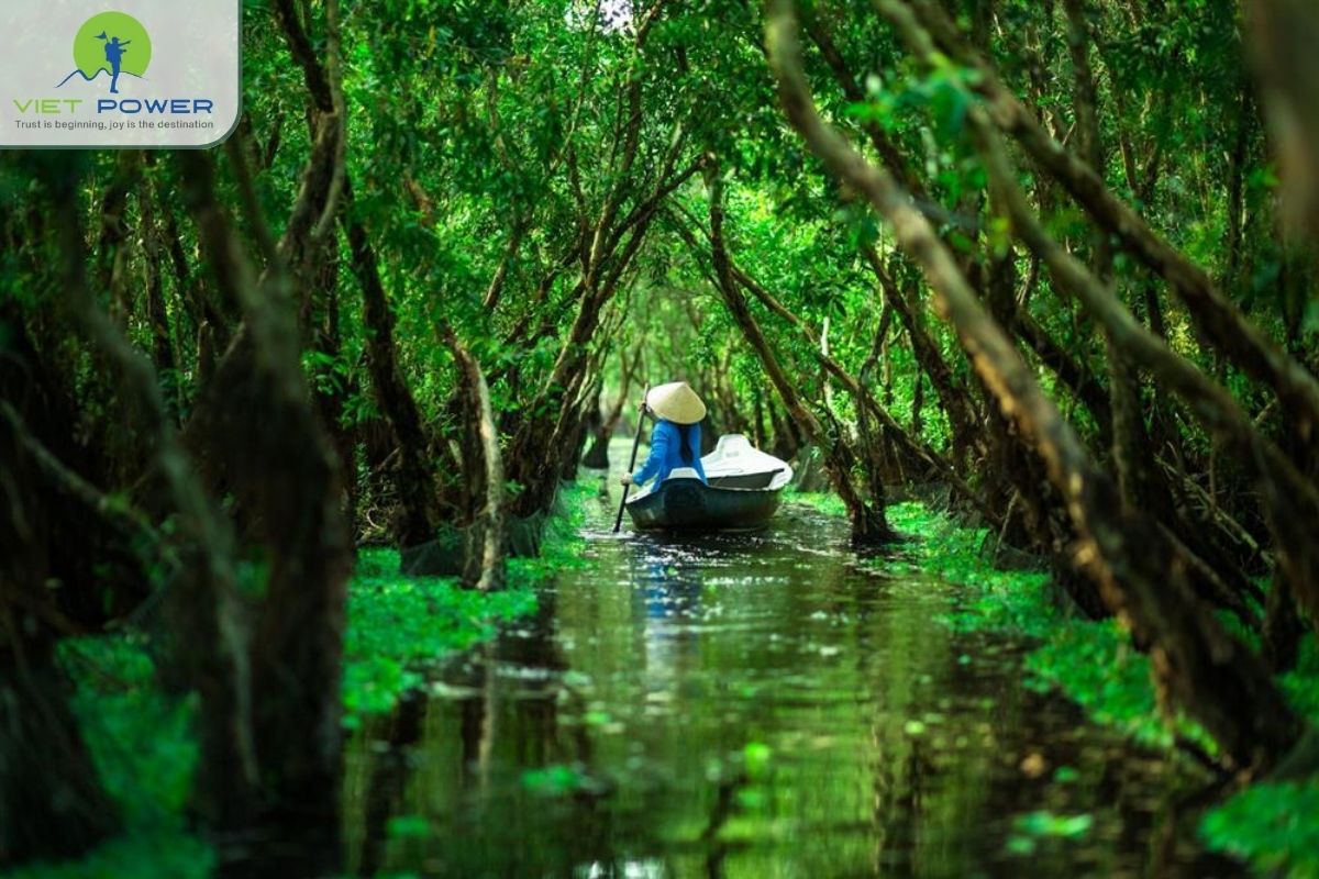 Where is Tra Su Cajuput Forest located