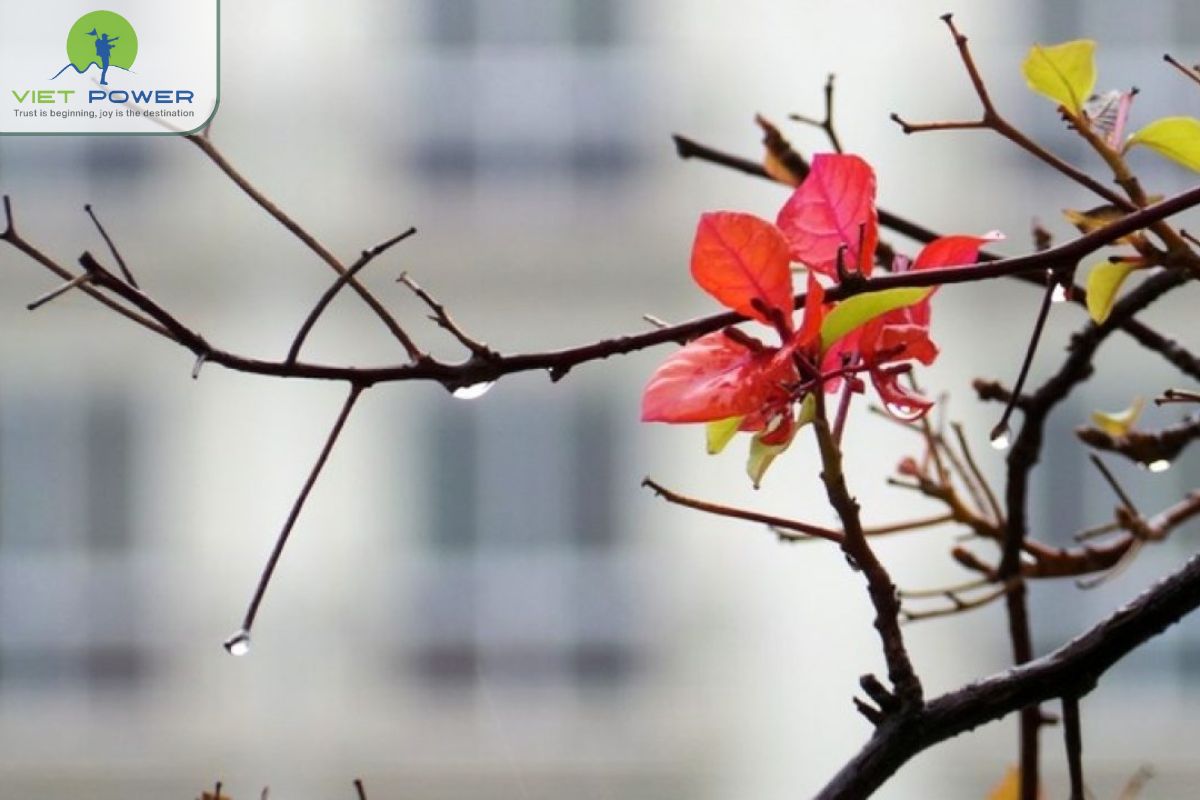 Where to travel in February (10)