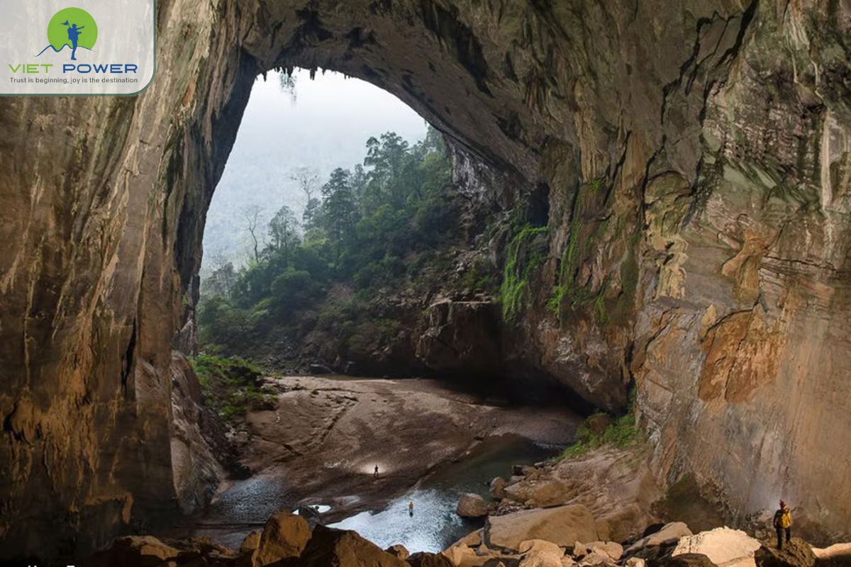 Wildlife and Unique Atmosphere