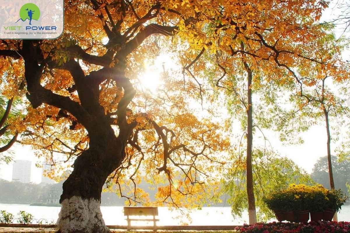 autumn in vietnam (2)