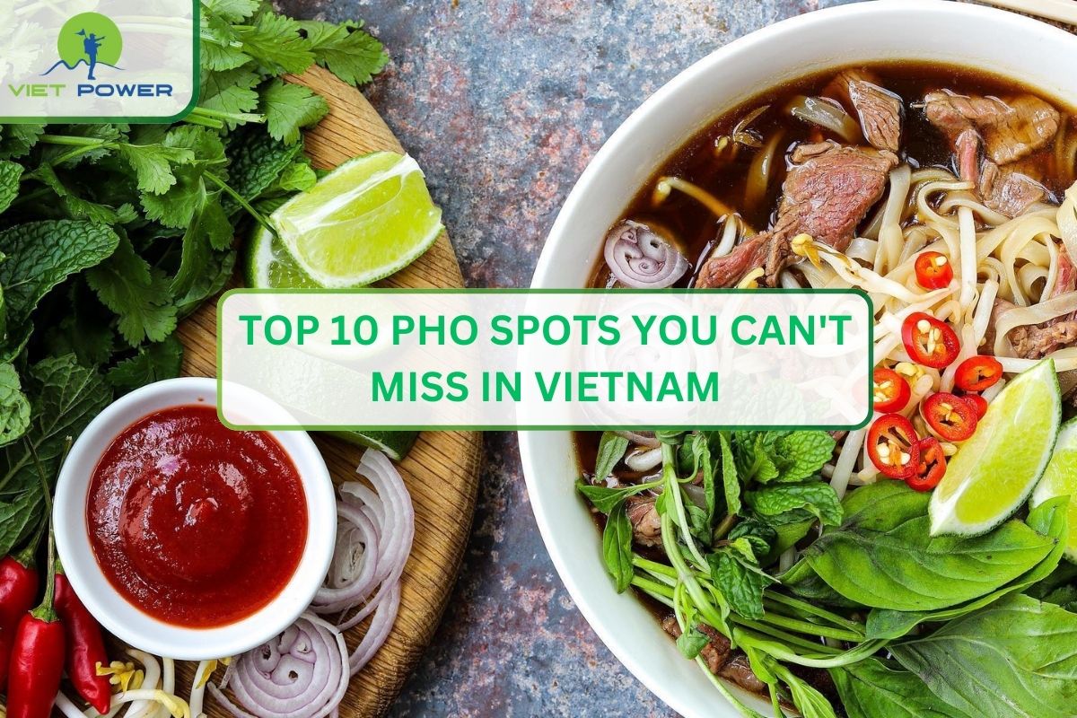 Top 10 Pho Spots You Cant Miss in Vietnam