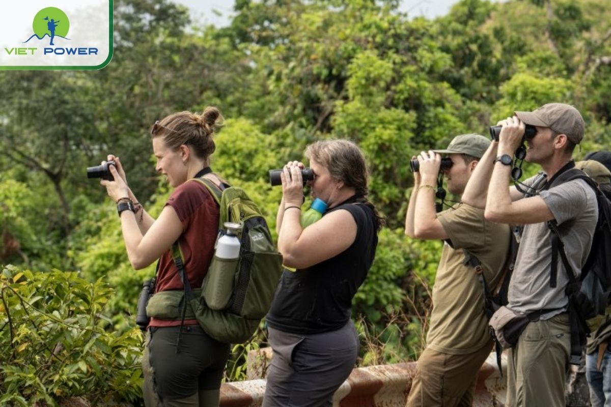 Use binoculars to view Red-Shanked Douc Langurs