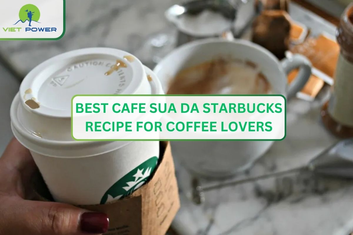 Best Cafe Sua Da Starbucks Recipe for Coffee Lovers