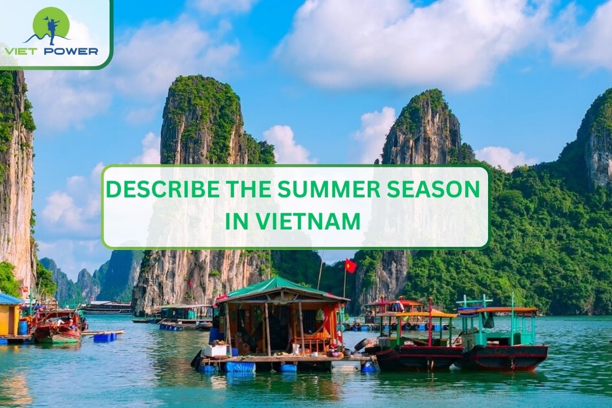 Summer Season in Vietnam: How Hot Is This Season