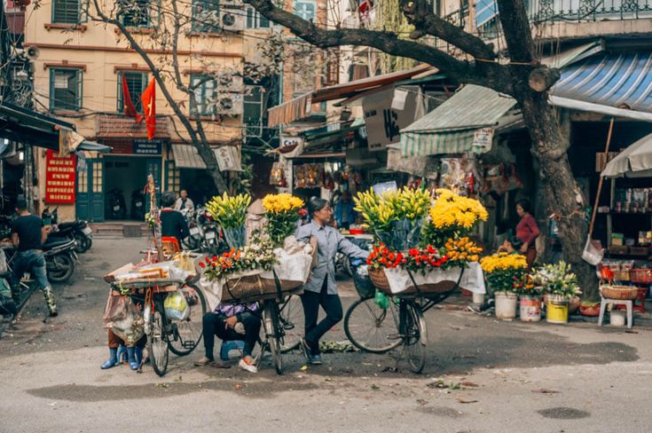Discovering Vietnam in 9 Days from the south to the north