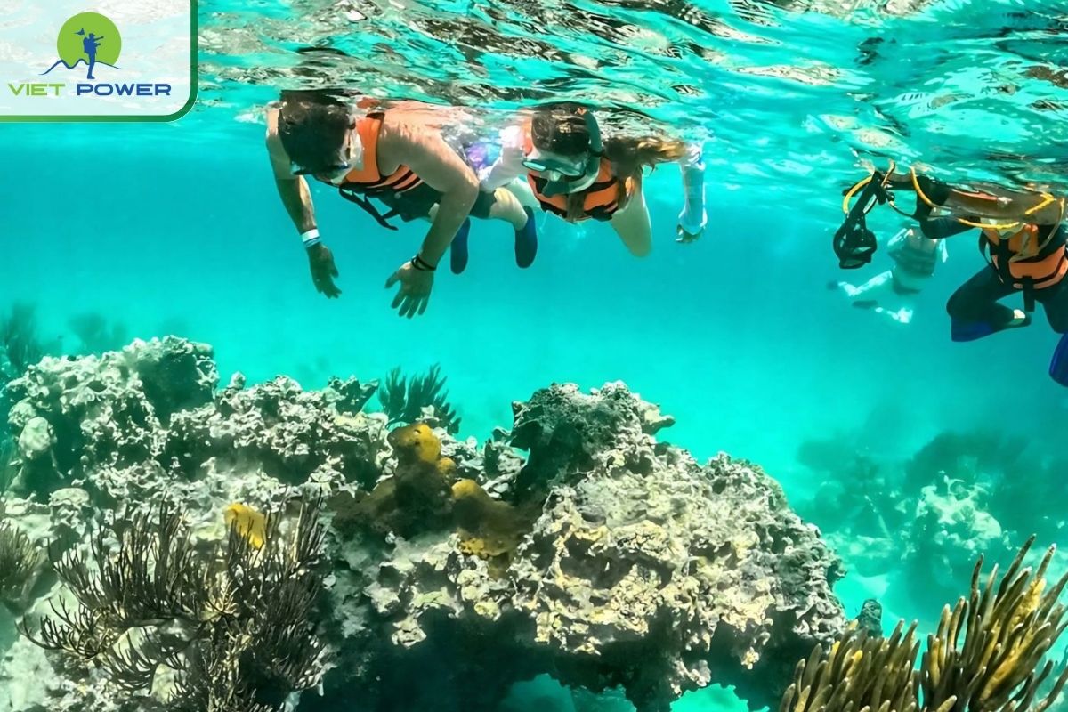 Scuba diving in Mui Nghe