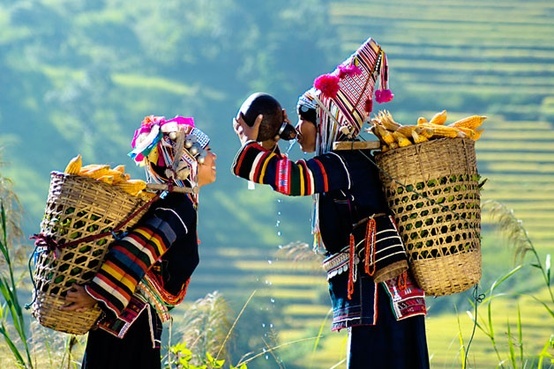 Natural Splendor of the Sea and Mountains in Vietnam 10 Day Tour