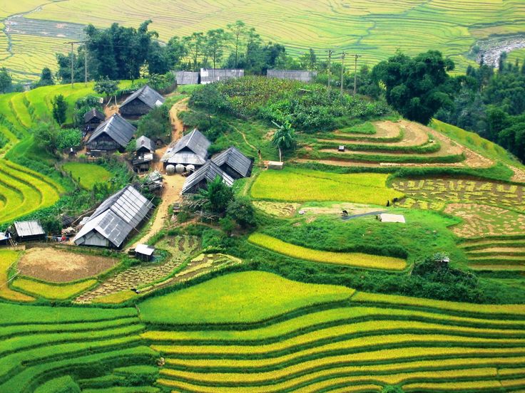 Reaching Out Popular Tourist Destinations in Viet Nam in 10 Days