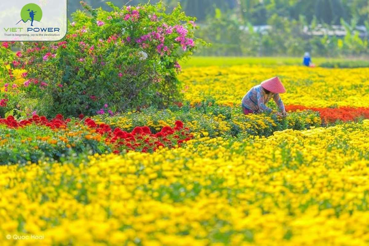 spring-in-vietnam (2)
