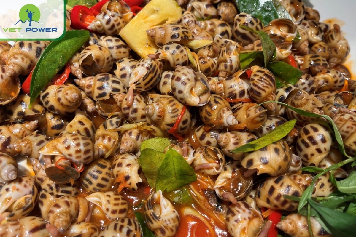 10 Must-Try Street Food in Ho Chi Minh District 1: Oc.