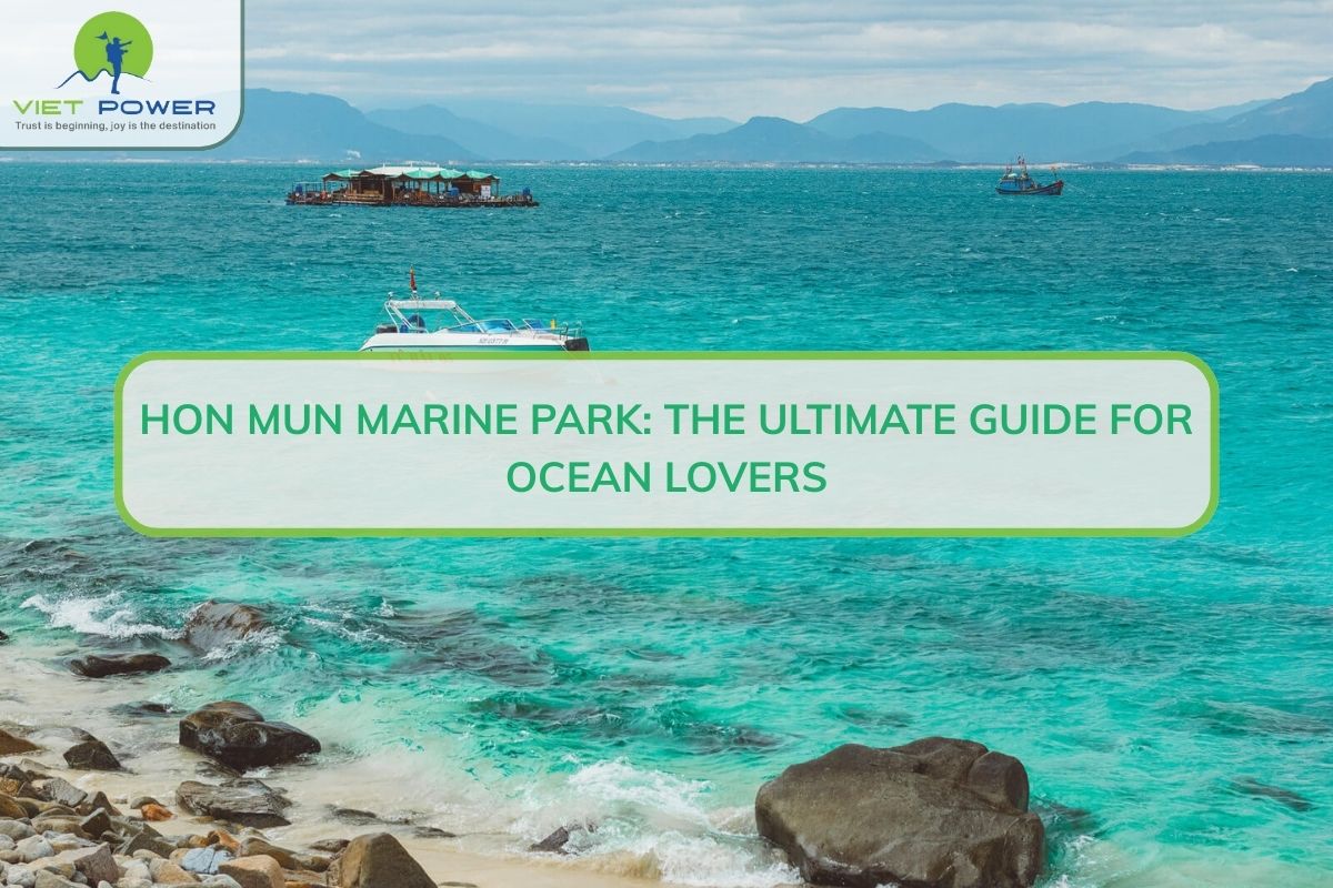Hon Mun Marine Park: The Ultimate Guide for Ocean Lovers
