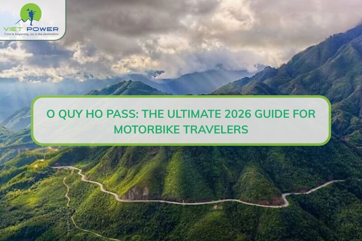 O Quy Ho Pass: The Ultimate 2026 Guide For Motorbike Travelers