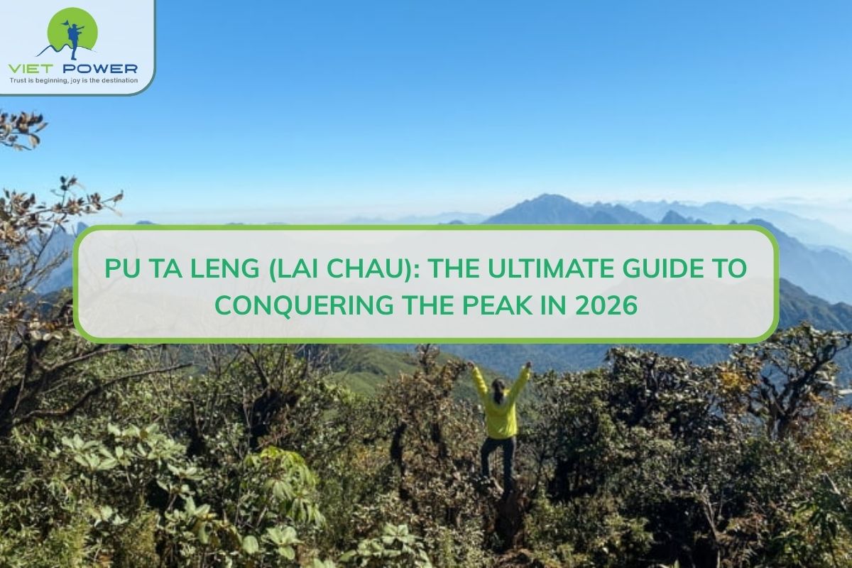 Pu Ta Leng (Lai Chau): The Ultimate Guide To Conquering The Peak