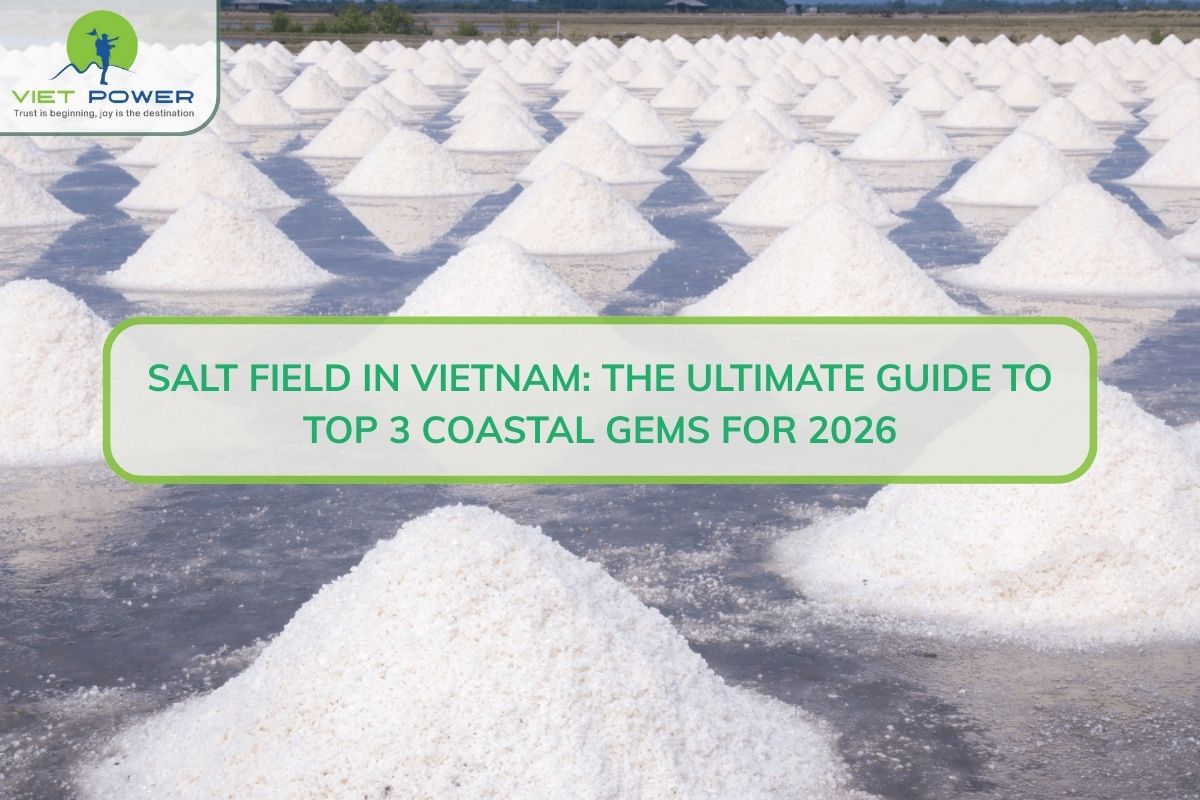 Salt Field In Vietnam: The Ultimate Guide To Top 3 Coastal Gems For 2026