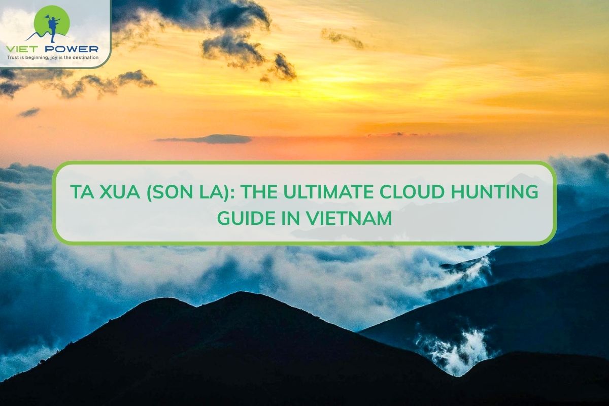 Ta Xua (Son La): The Ultimate Cloud Hunting Guide In Vietnam