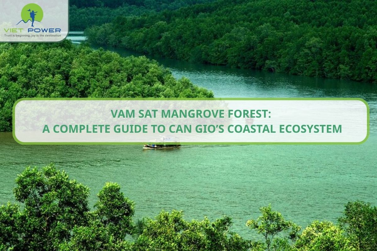 Vam Sat Mangrove Forest: Guide to Can Gio’s Coastal Ecosystem