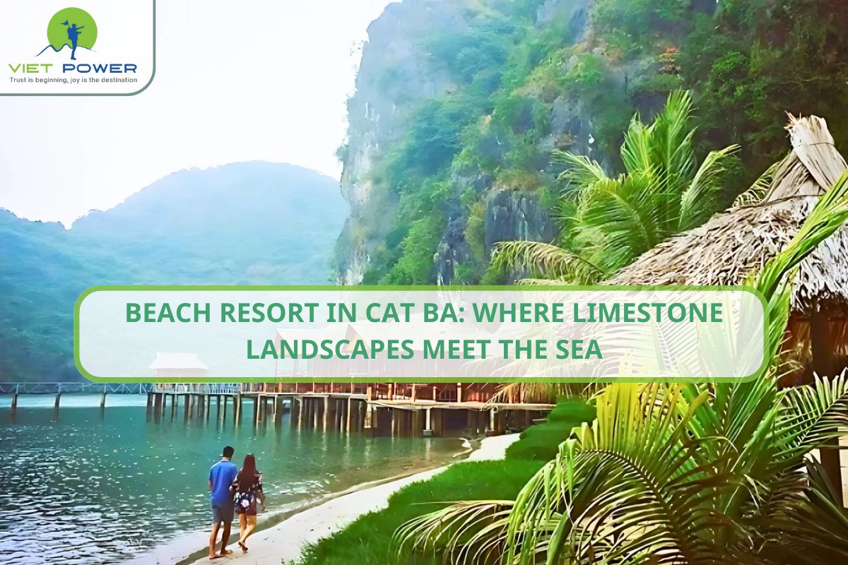 Beach Resort in Cat Ba: Where Limestone Landscapes Meet the Sea